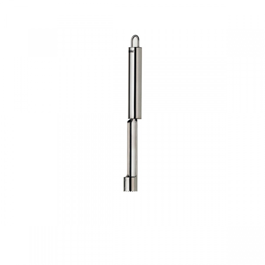 wycinak środków jabłek