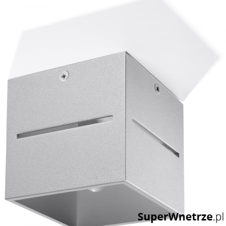 Lampa natynkowa Lobo szara