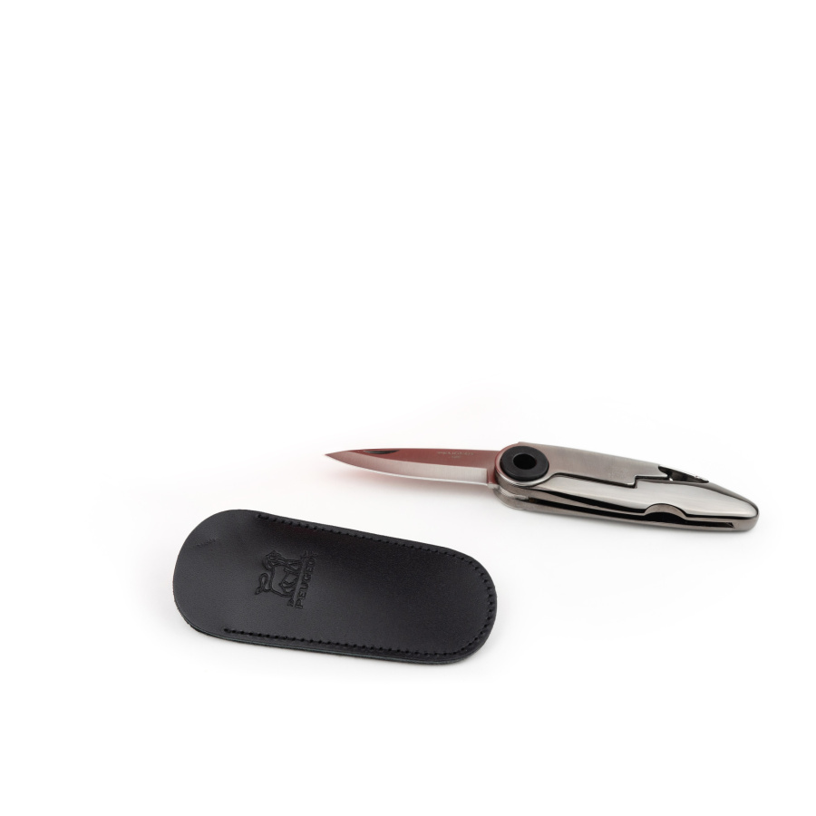 Scyzoryk w skórzanym etui