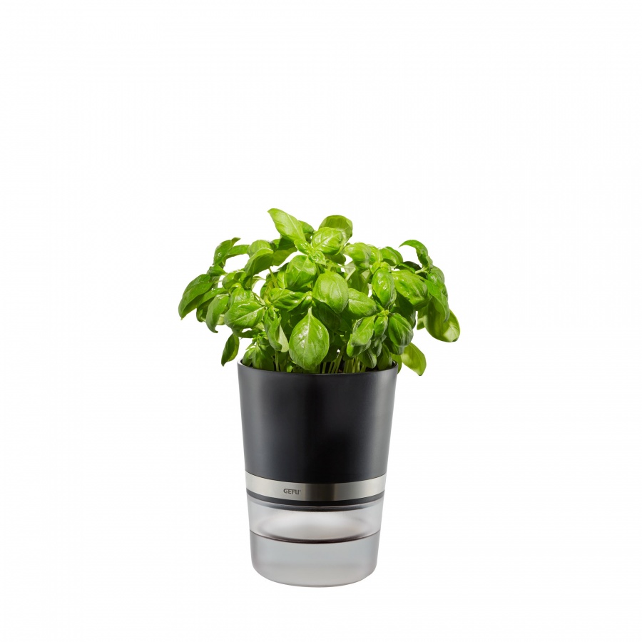 BOTANICO doniczka do ziół