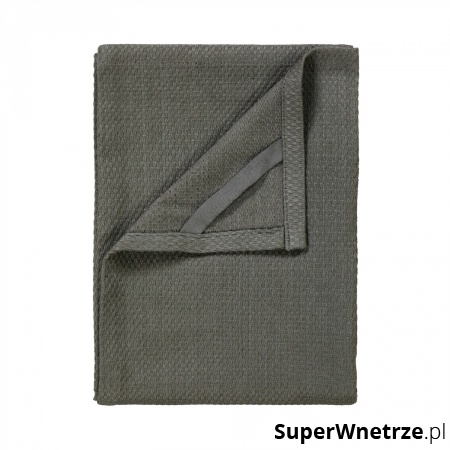 RĘCZNIK KUCHENNY 2 SZTUKI AGAVE GREEN