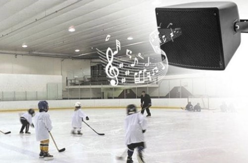 GŁOŚNIK TUBOWY DSP3010H, 200W, DWUDROŻNY, ODPORNY NA WARUNKI ATMOSFERYCZNE,