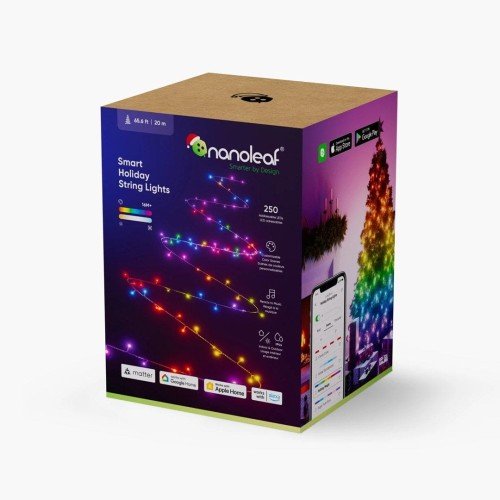 1D Outdoor Holiday String Lights Starter Kit 250LED 20m