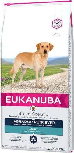 Adult Labrador Retriever - sucha karma dla psa - 12 kg