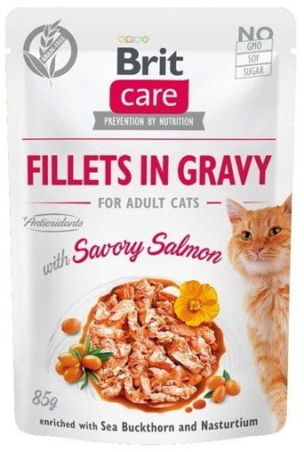 Care Fillets in Gravy filety z łososiem w sosie - mokra karma dla kota - 85 g