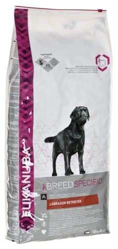 EUKANUBA Adult Labrador Retriever - sucha karma dla psa - 12 kg