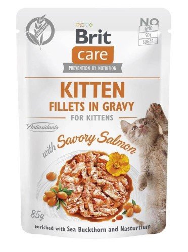 Care Cat Kitten Savory Salmon Pouch - mokra karma dla kota - 85 g