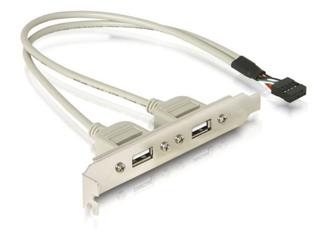 Delock śledź (bracket) 2x USB 2.0