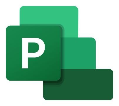 Narzędzia do zarządzania projektami Planner and Project Plan 5 - licencja na rok