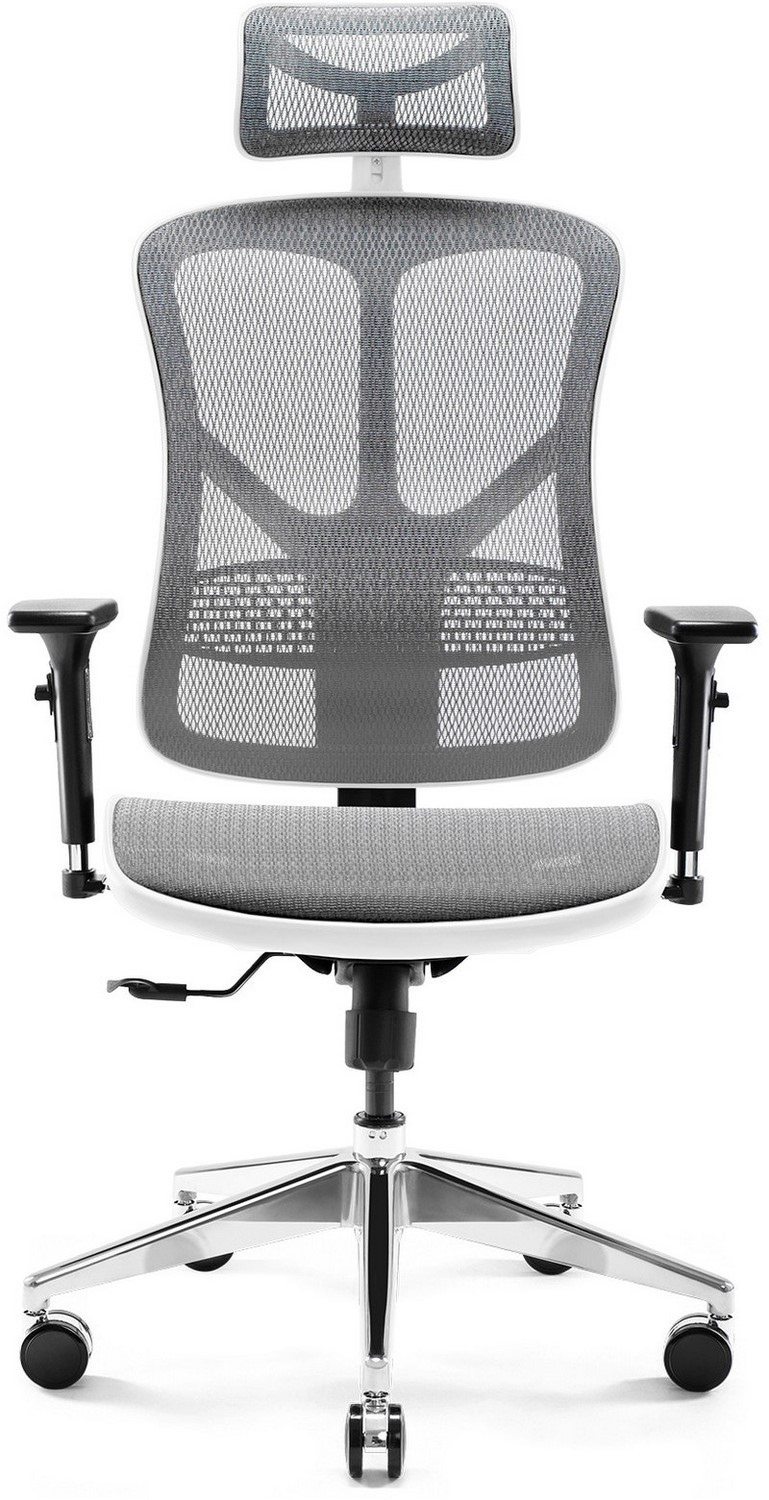 Diablo V-Basic Biało-Szary