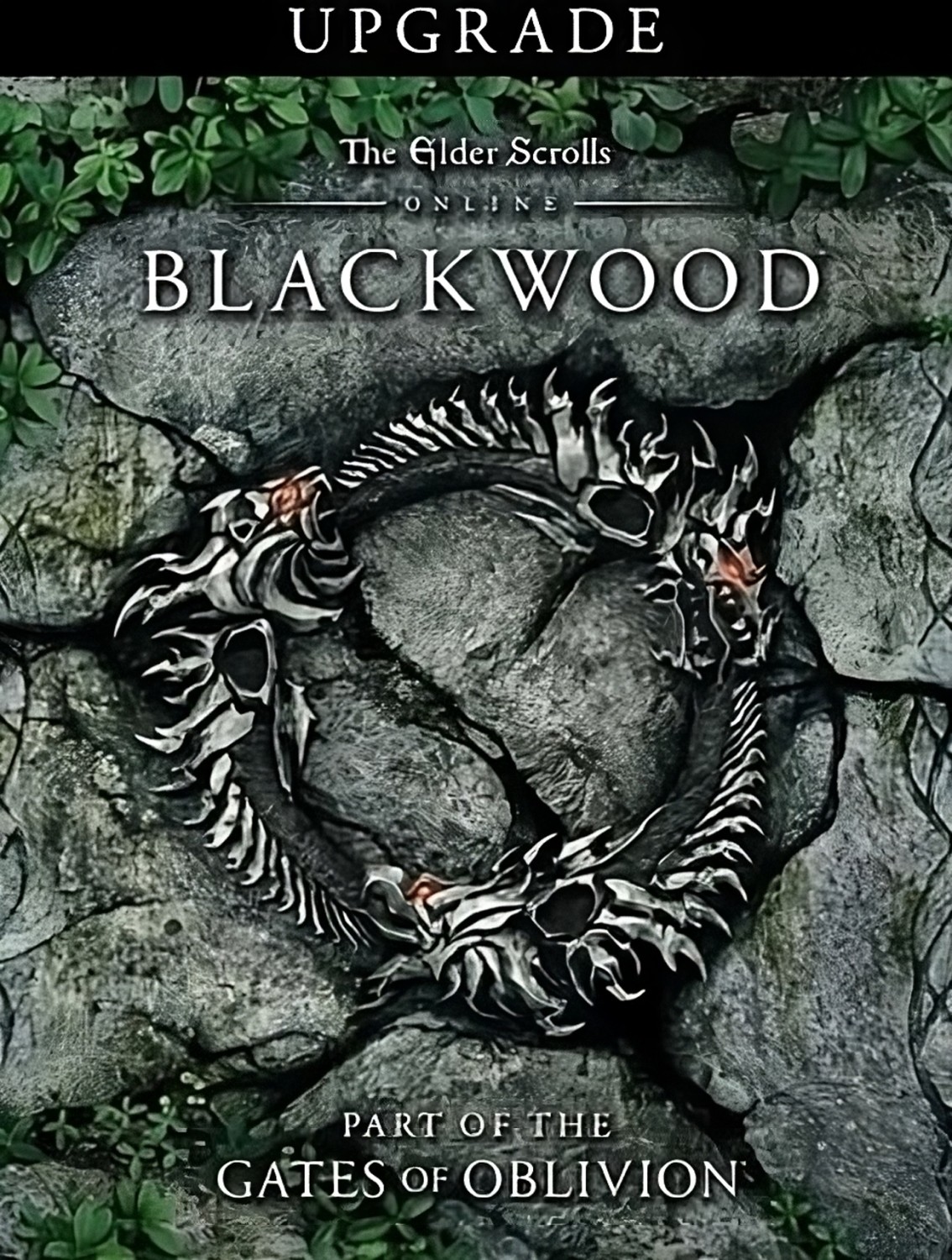 The Elder Scrolls Online: Blackwood Upgrade - DLC Xbox One, Xbox Series X, Xbox Series S - do pobrania - ESD