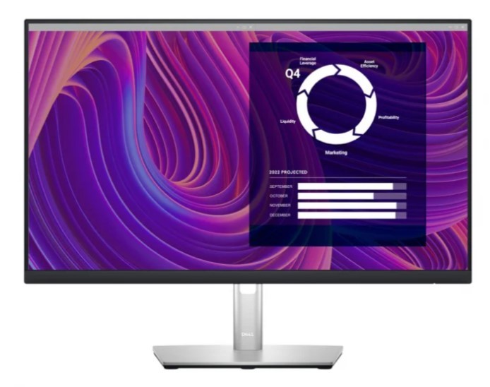 Dell P2423D - 60Hz | QHD | 24'' | IPS | 5ms