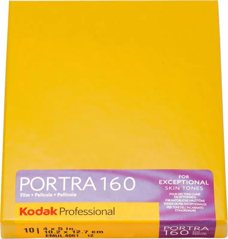 Negatyw KODAK Portra 160 4x5 10 Sheets