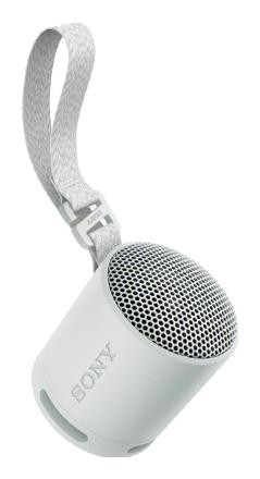 Sony SRS-XB100 Szary