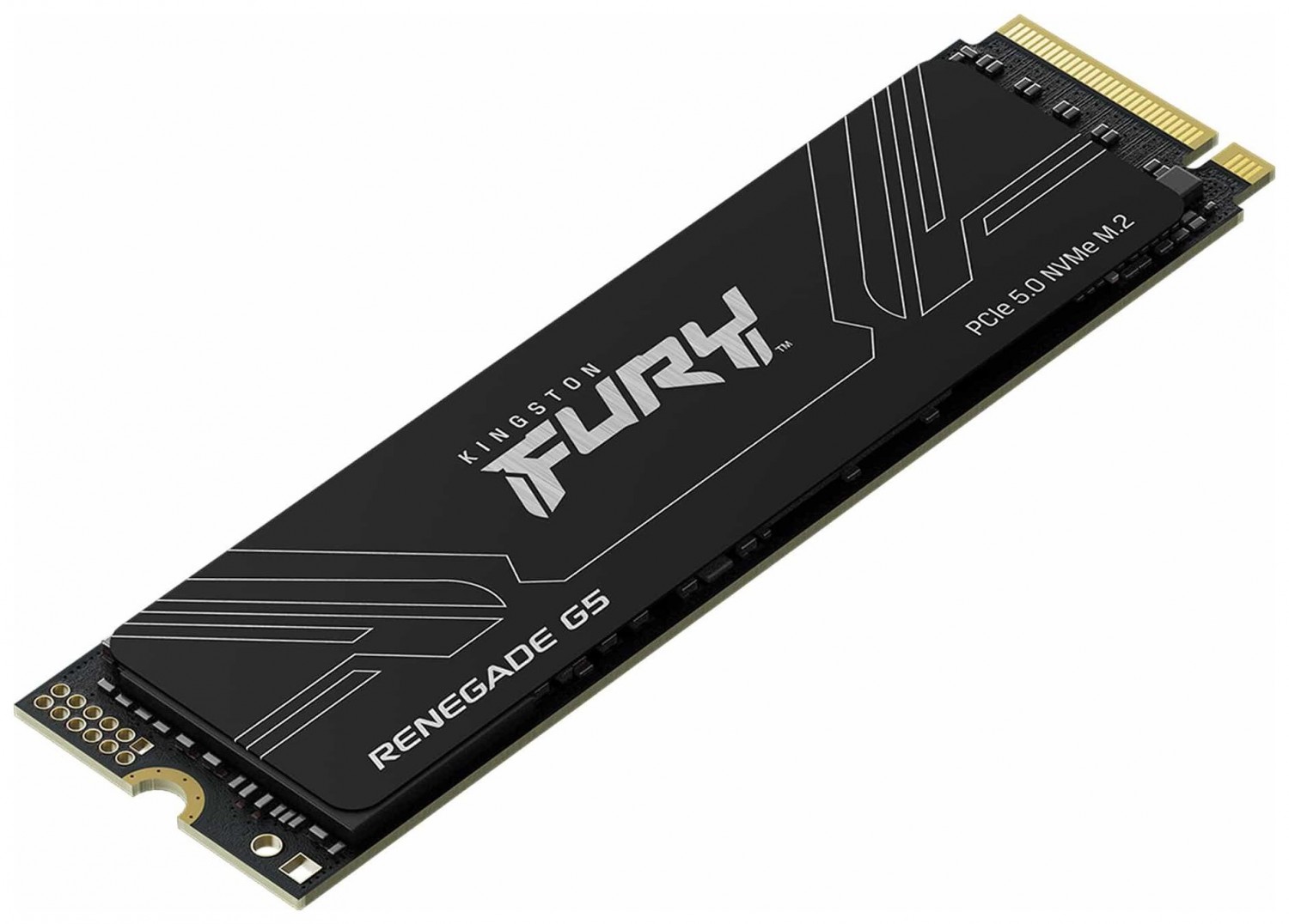 Kingston Fury Renegade G5 M.2 Pci-e 5.0 NVMe 1TB