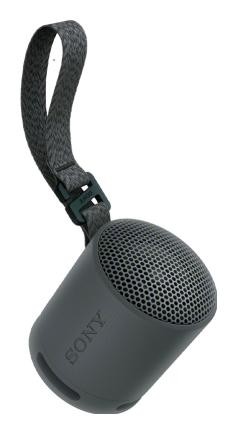 Sony SRS-XB100 Czarny