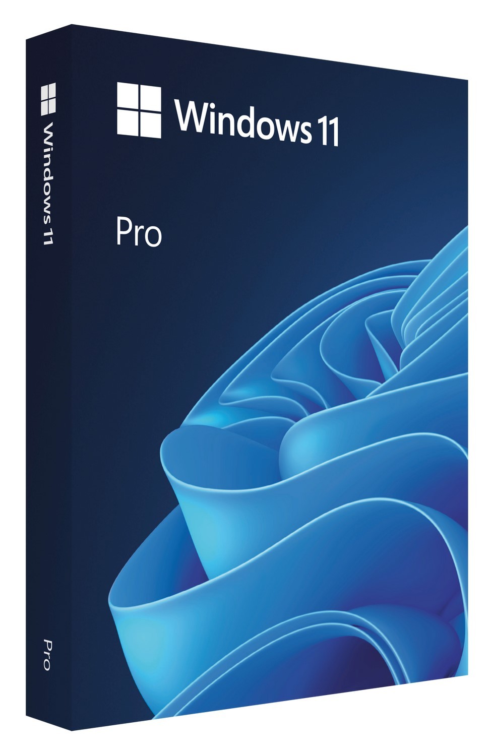 System operacyjny Windows 11 Pro OEM DVD PL