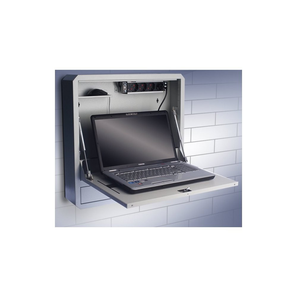Techly 026845 Szafka ścienna zabezpieczająca do notebooka 19'', szara