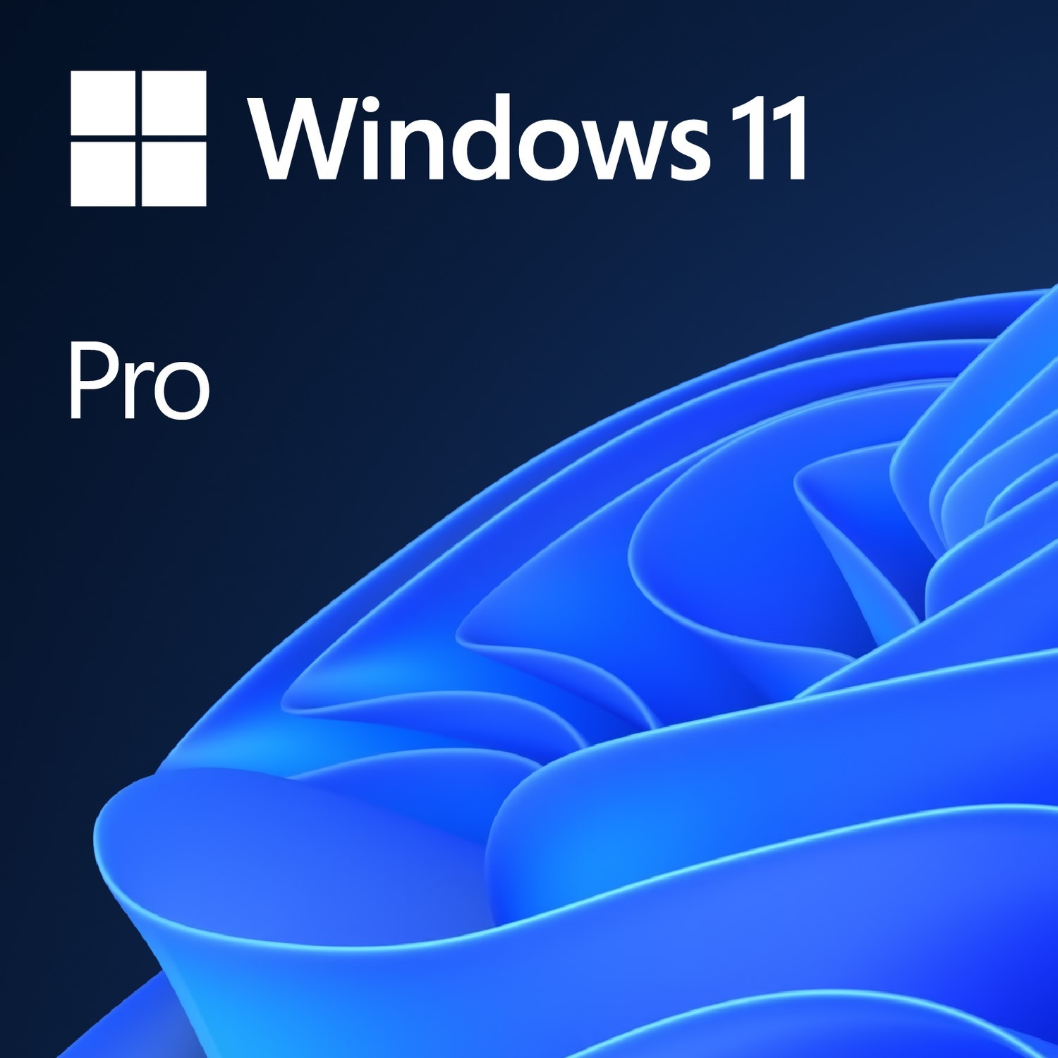 System operacyjny Windows 11 Pro ESD All Lang