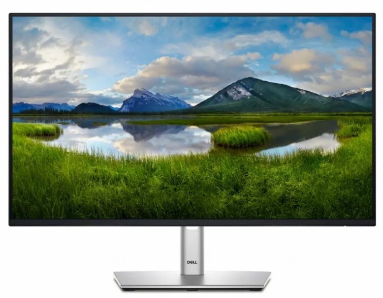 Dell P2425HE - 100Hz | Full HD | 24'' | IPS | 5ms
