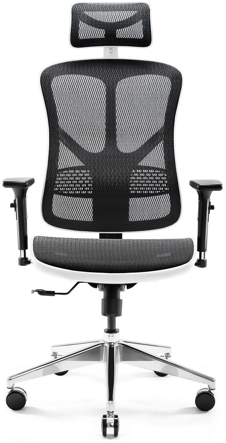 Diablo V-Basic Biało-Czarny