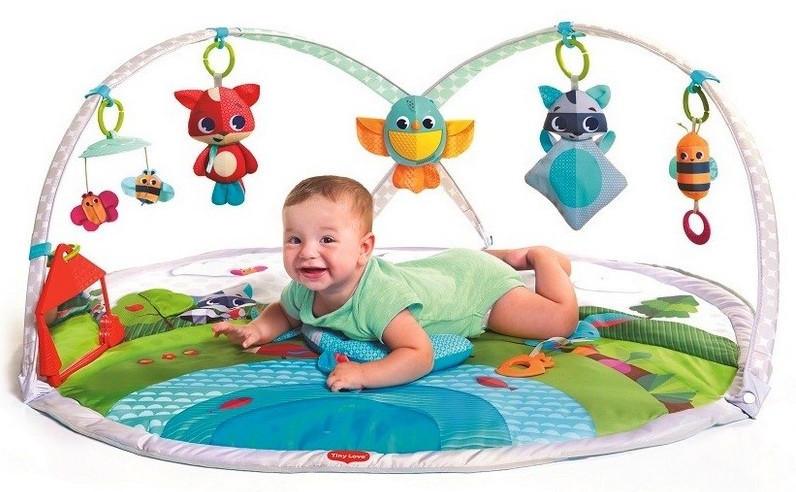 Mata Tiny Love Gimnastyka dla bobasa Zabawa na łące