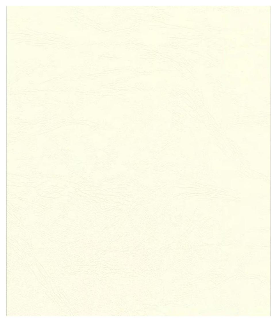 Fellowes Okładki Delta A4 kość słoniowa 100 szt. (FSC)