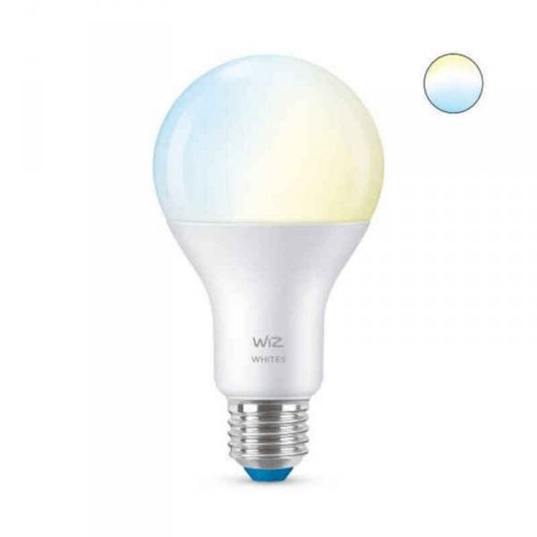 Inteligentna Żarówka Ledkia A67 E27