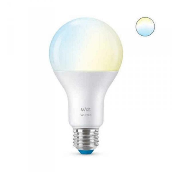 Inteligentna Żarówka Ledkia A67 E27