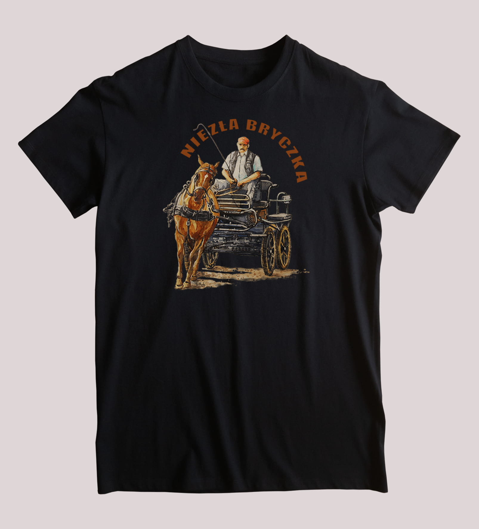 Bryczka — koszulka (Kolor koszulki: czarny; Rozmiar: 4XL (męska); Rodzaj nadruku: Bryczka)