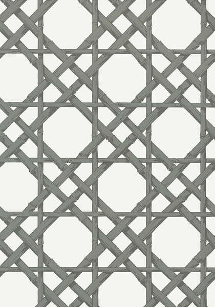 Tapeta Thibaut CYRUS CANE Szary, Biel