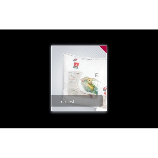 Poduszka antyalergiczna 50x60 cm OUTLAST gładka