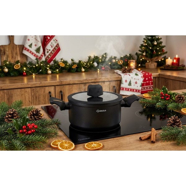 Garnek z pokrywką 3,3 L Nero 20 cm