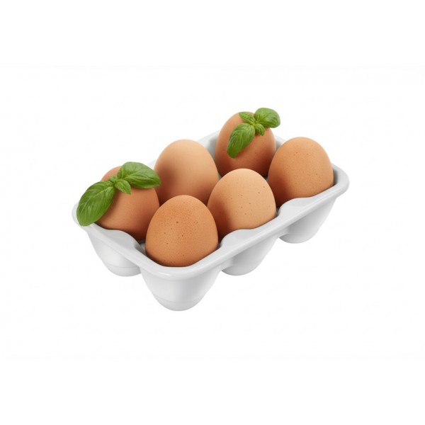 BASIC Talerz na jajka (6szt) 16,8x11,5x5 cm
