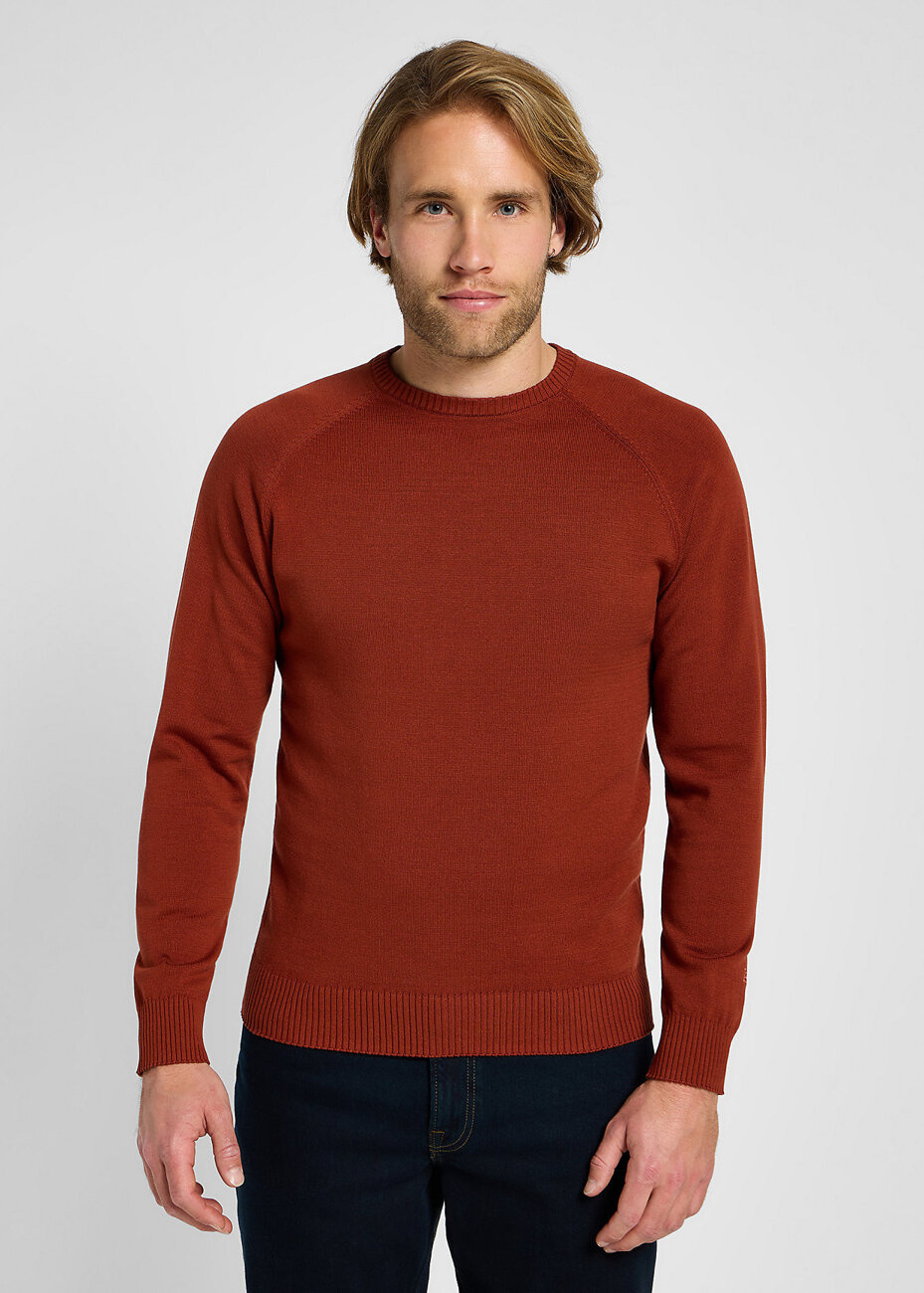 LEE MĘSKI SWETER CLEAN RAGLAN SWEATER SWEET MAPLE 112355672 LD46014970