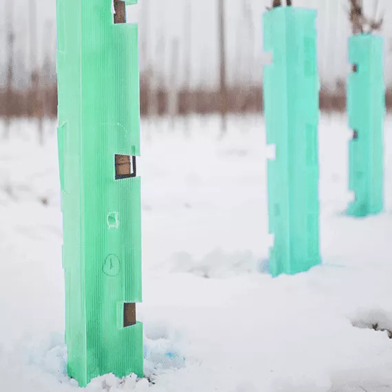 Osłonka Sadownicza Na Pnie Drzew - Zielona – Agrimpex