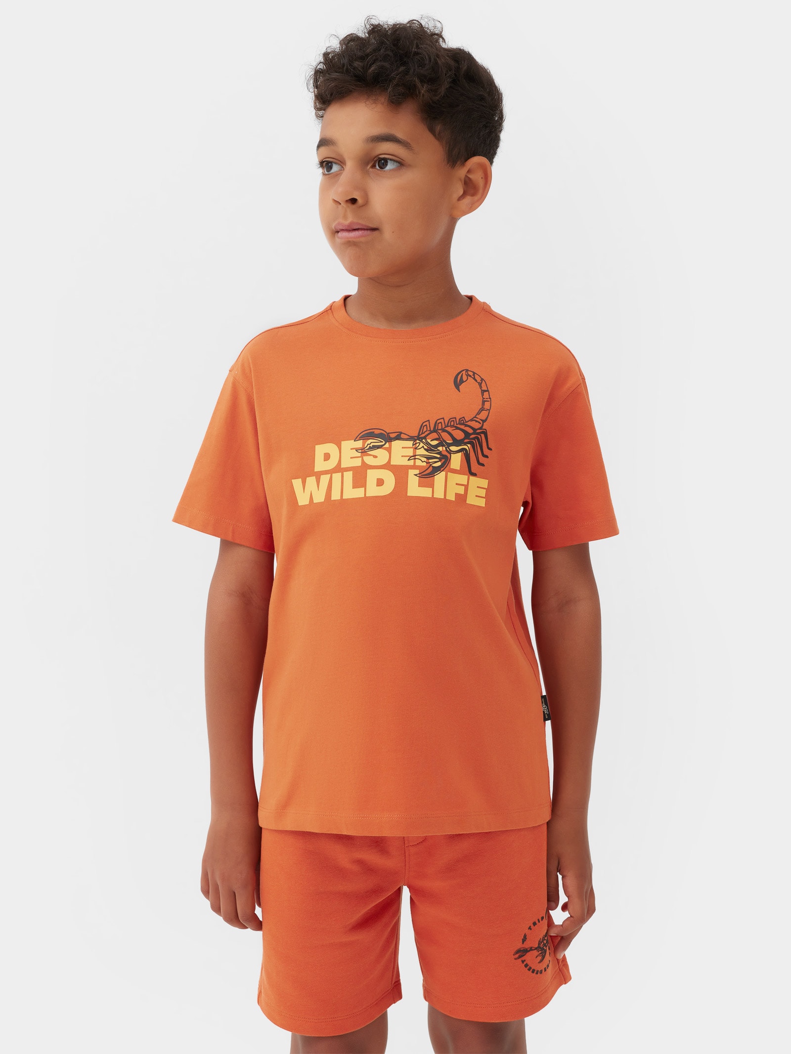 T-shirt z nadrukiem chłopięcy