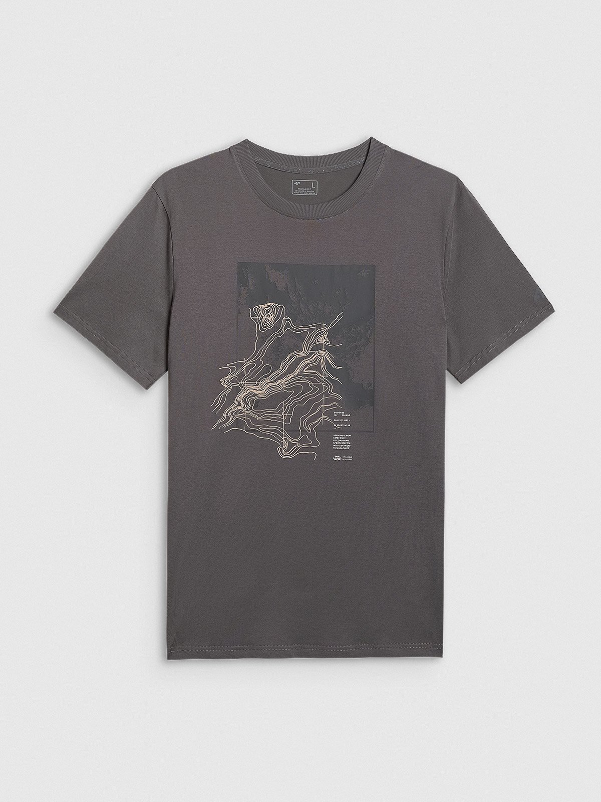 4F T-shirt regular z nadrukiem męski - szary 3XL