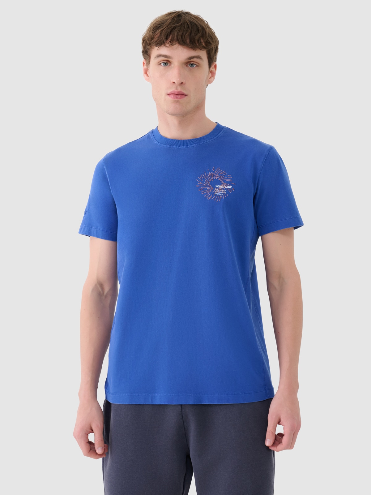 4F T-shirt regular z nadrukiem męski - niebieski S