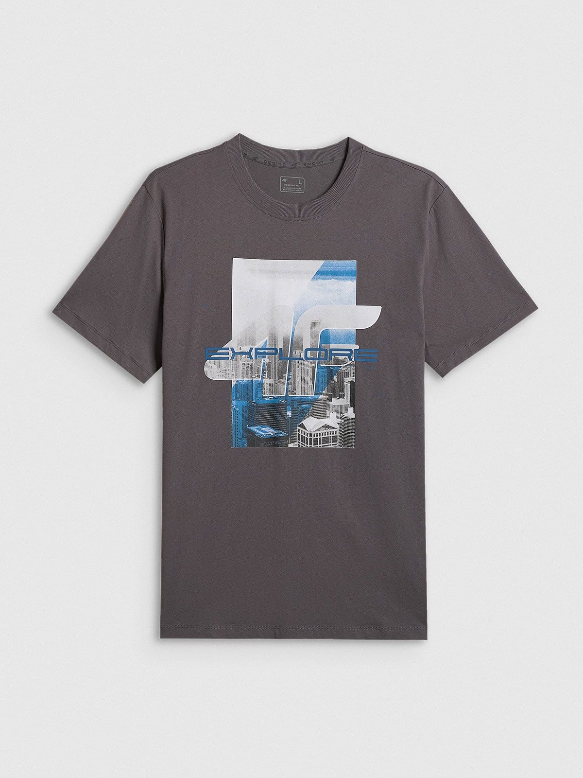 4F T-shirt regular z nadrukiem męski - szary XL