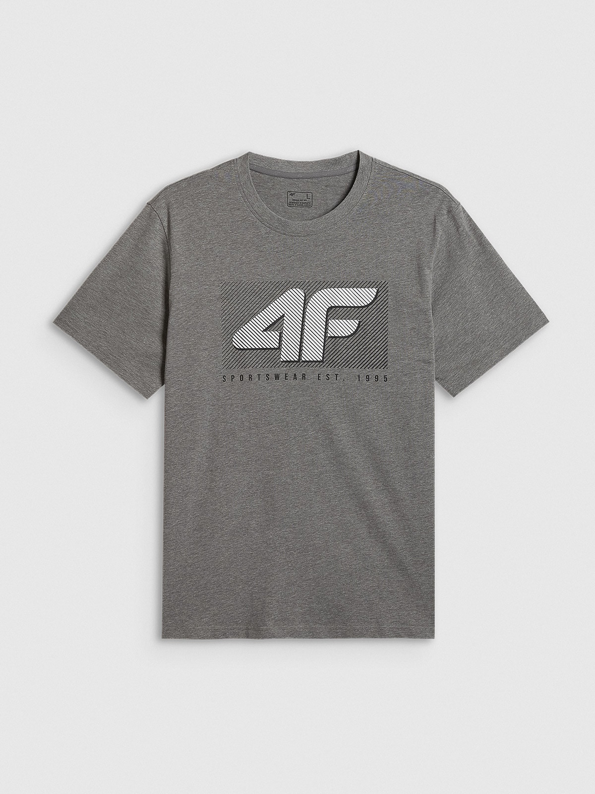 4F T-shirt regular z nadrukiem męski - szary XXL