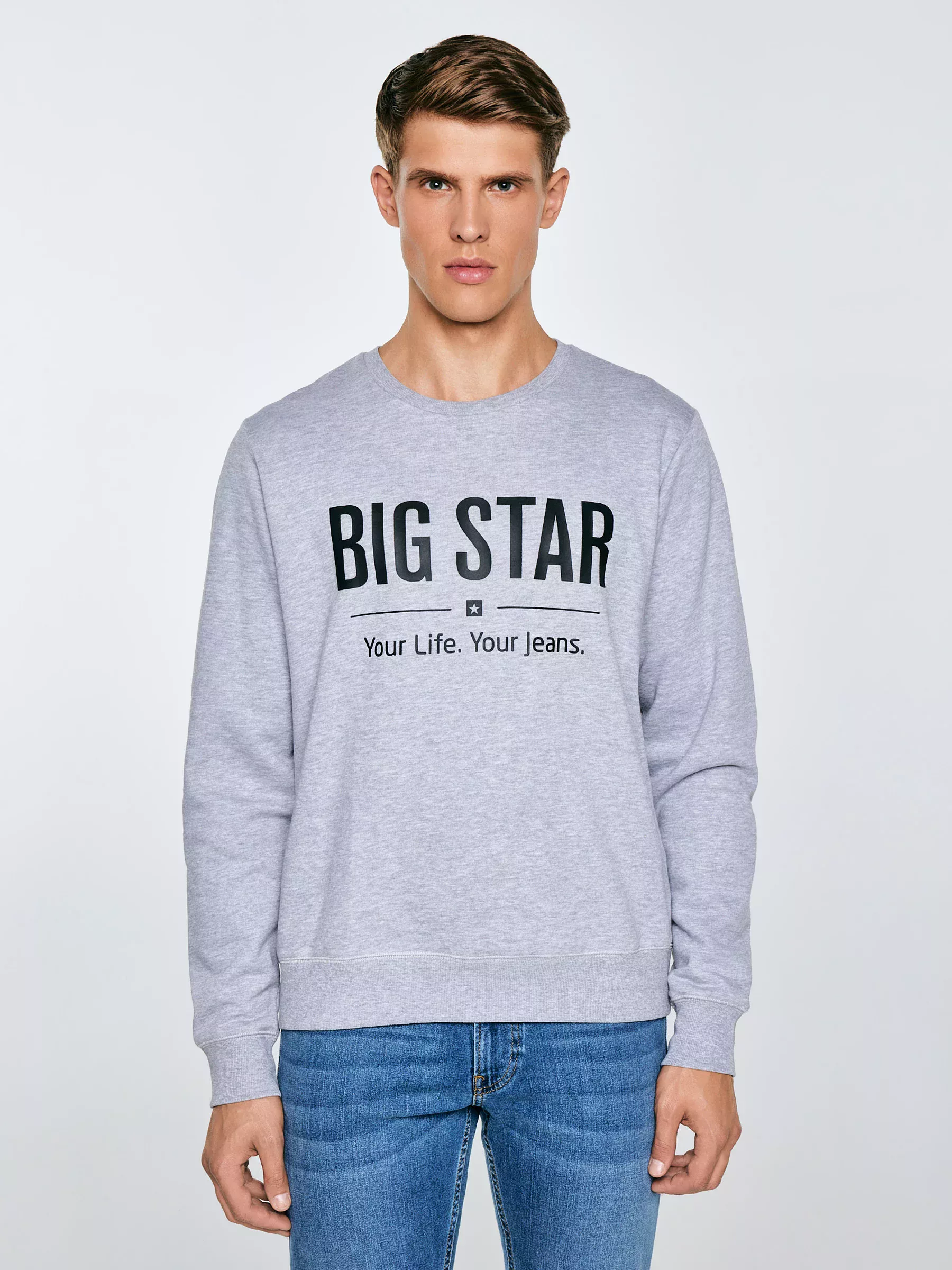 Bluza męska z nadrukiem szara Ecodort 901