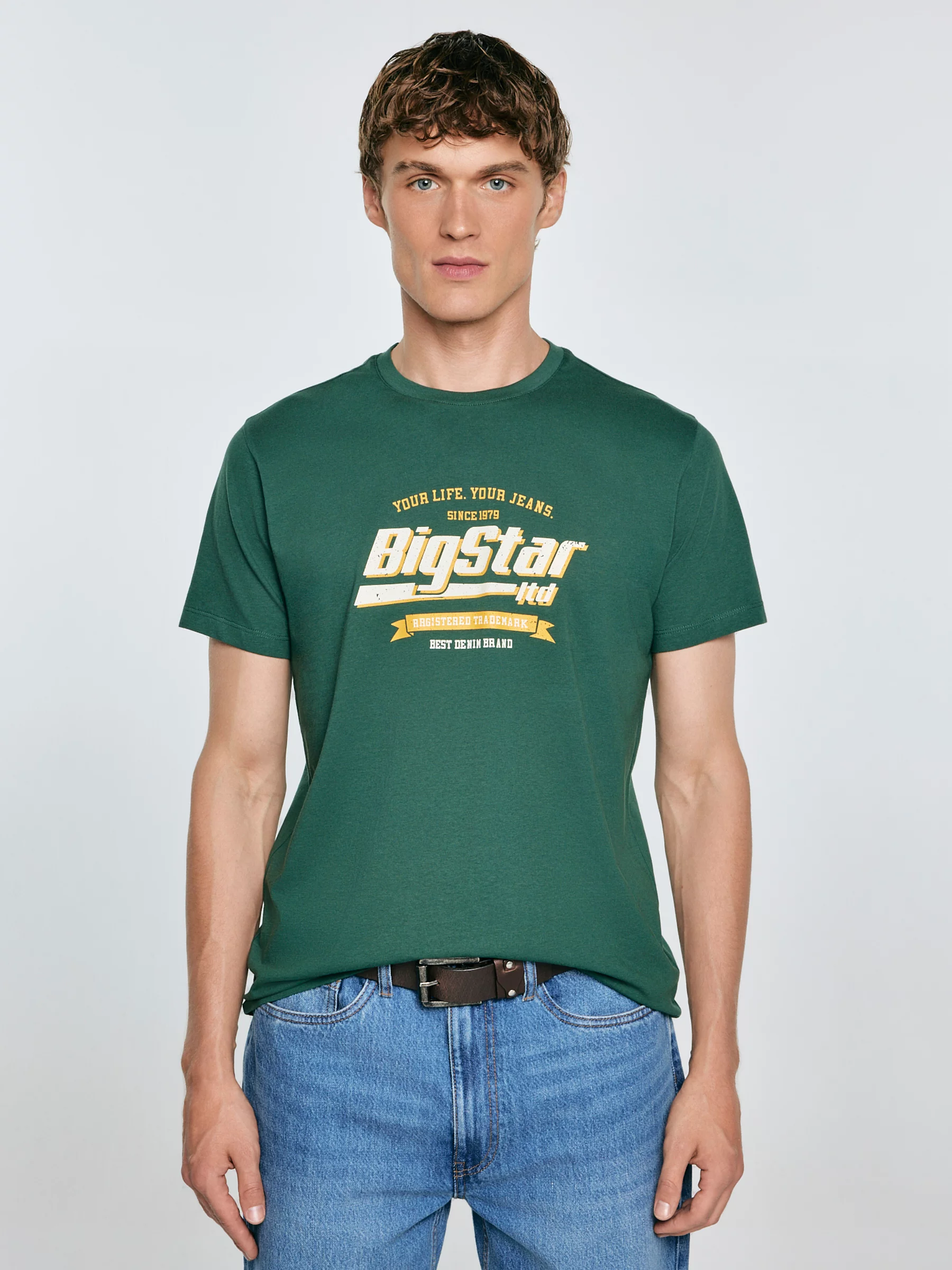 Koszulka męska z nadrukiem zielona Briss 304