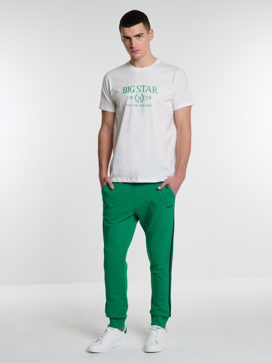 Koszulka męska z krótkim rękawem z haftem biała Flavian 100