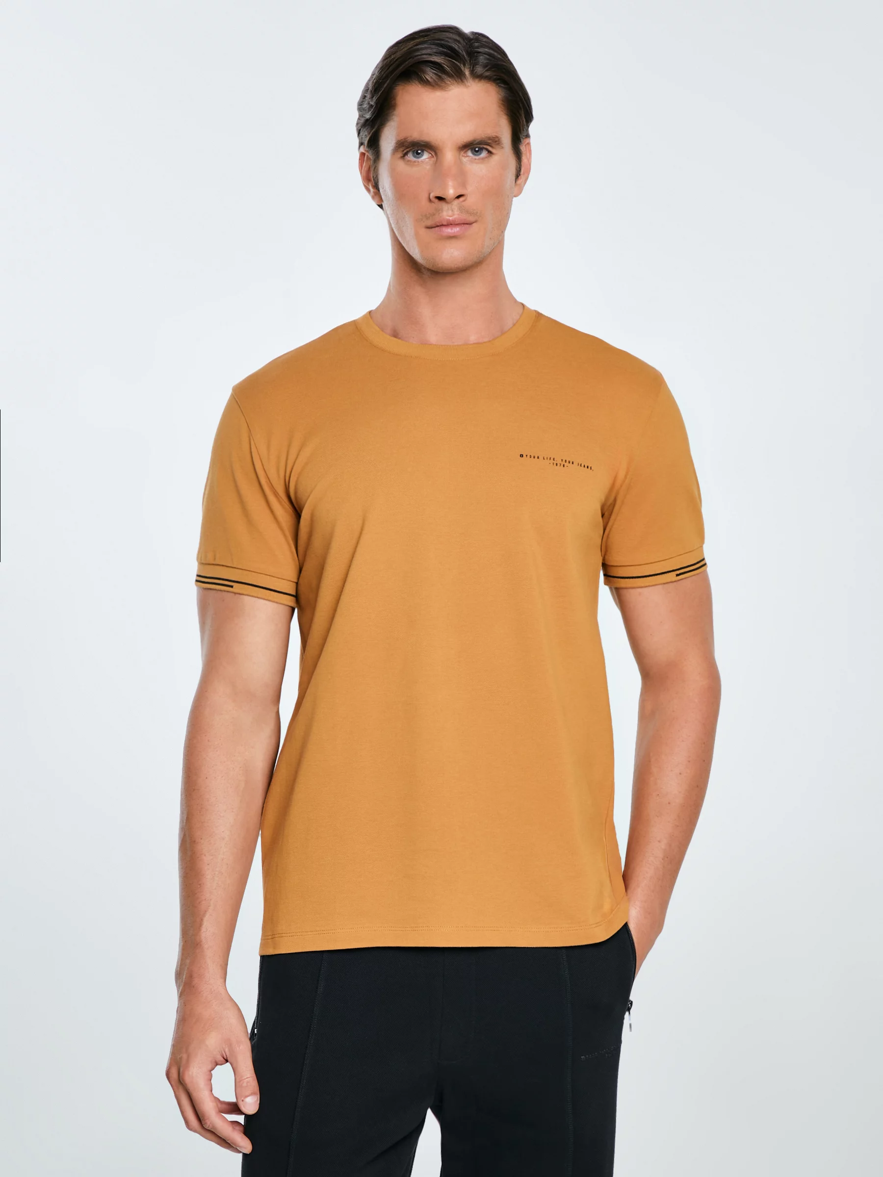 Koszulka męska bawełniana z logo BIG STAR brązowa Wlader 803