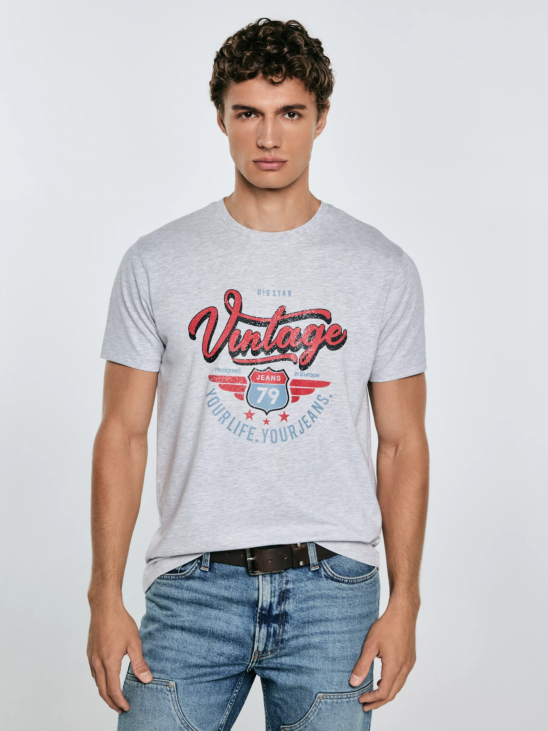 Koszulka męska z nadrukiem szara Merret 901