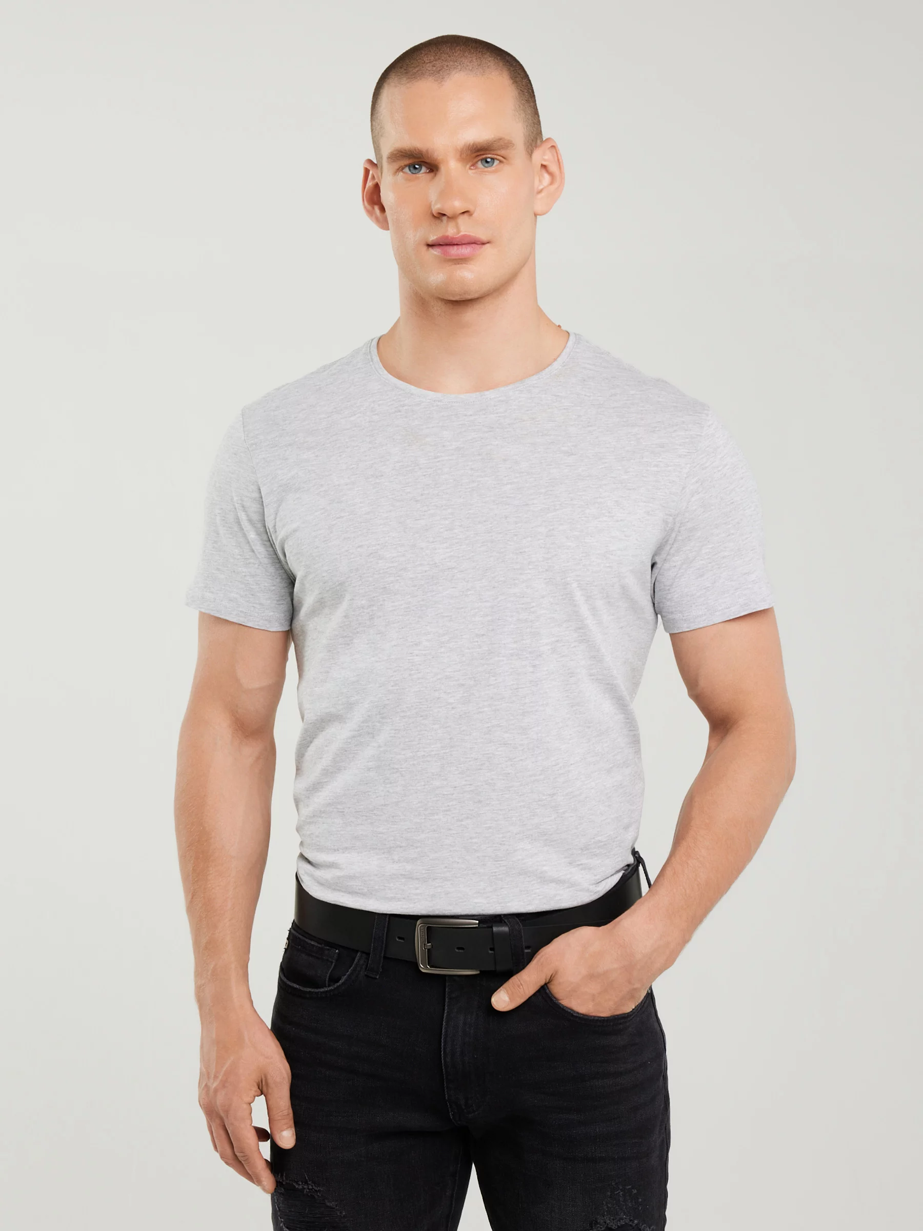 Koszulka męska bawełniana szara Basic 901