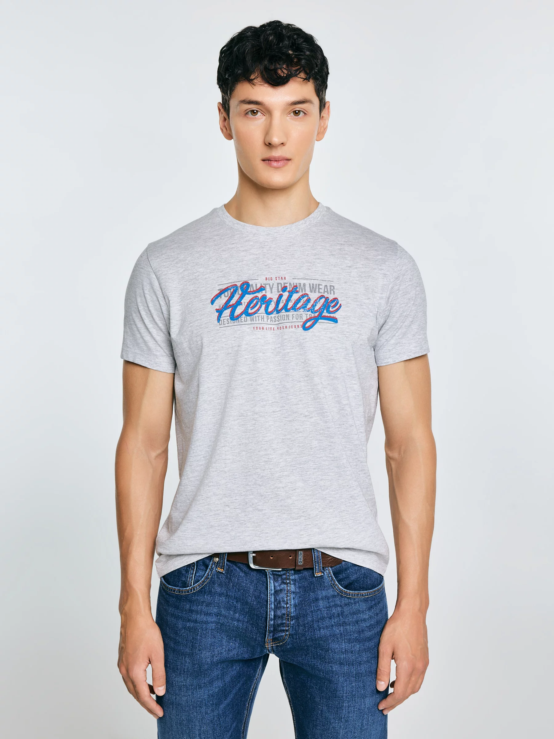 Koszulka męska z nadrukiem szara Keren 902