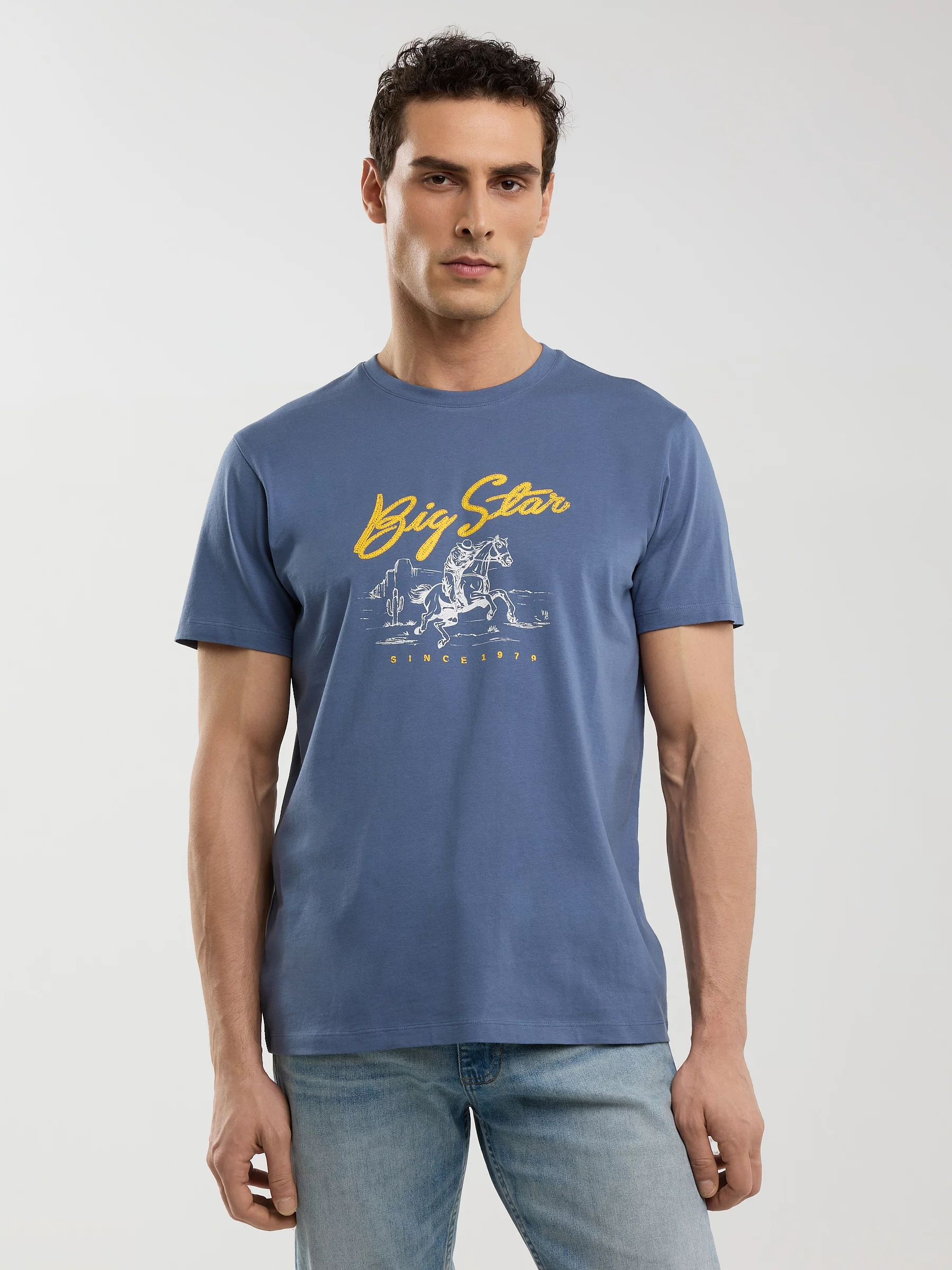 Koszulka męska z nadrukiem niebieska Stelianer 402