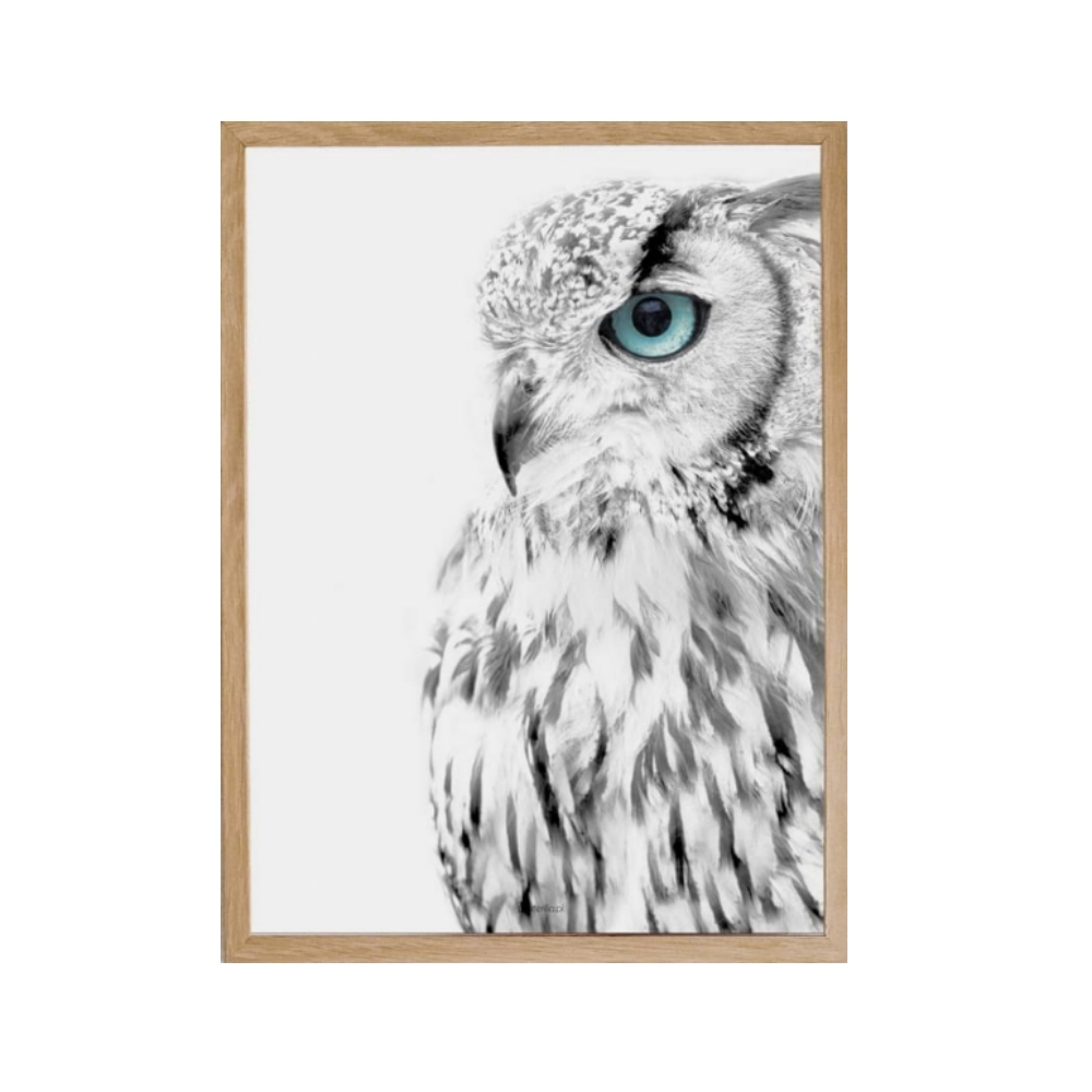 SELSEY Plakat Ollien z wyborem rozmiaru i ramy